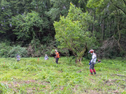 PXL_20260524_012441007