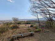 PXL_20260323_055058882