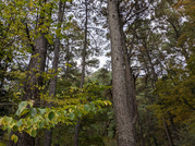 PXL_20251117_234221421