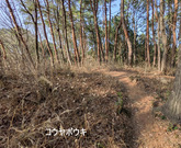 PXL_20260301_055443789