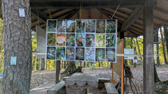 PXL_20251114_040827730