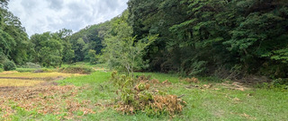 PXL_20260609_062205900