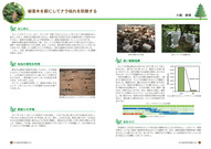薪にしてナラ枯れ防除