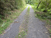 PXL_20260815_065616450
