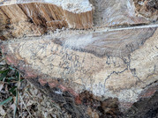 PXL_20260116_015515482