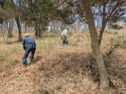 PXL_20260306_015551361