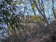 PXL_20260108_055243872