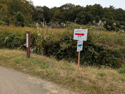 PXL_20251113_013403752.MP