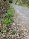 PXL_20260409_235806378