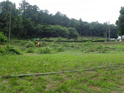 P6230026