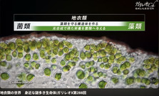 スクリーンショット (17727).png