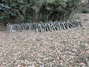 PXL_20260124_065112620