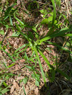 PXL_20260515_035326833
