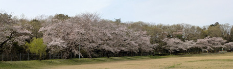 PXL_20260405_042845546