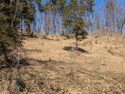 PXL_20260308_022857844