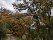 PXL_20251118_000649956