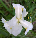 PXL_20260509_093331101