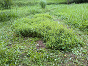 PXL_20260623_084136060