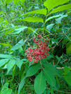 PXL_20260604_022205954