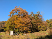 PXL_20251120_235055330