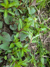PXL_20260423_014604326