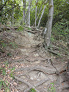 PXL_20260523_034325379