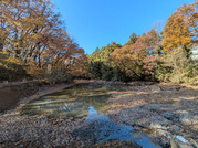 PXL_20251130_033320618