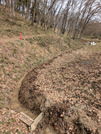 PXL_20260313_014850693