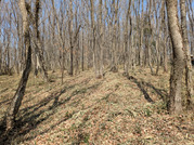 PXL_20260301_030242150