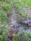 PXL_20260606_095613711