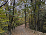 PXL_20251117_233921989