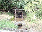 P7010018