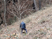 PXL_20260320_025057393