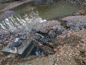 PXL_20251210_065857003