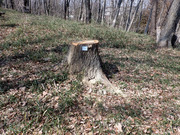P3010025