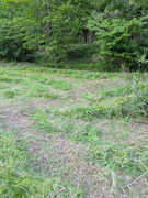 PXL_20260505_090917283