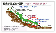●早生樹（黒田）_12