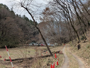 PXL_20260306_024643269