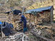 PXL_20260127_024451566