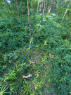 PXL_20260721_215249247