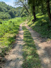 PXL_20260731_023419822