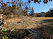 PXL_20260101_031623320