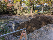 PXL_20251124_034338968