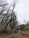 PXL_20260226_014822583