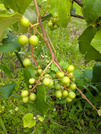 PXL_20260624_011921676