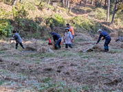 PXL_20251128_003005483