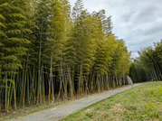 PXL_20260610_033605515