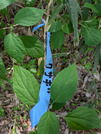 PXL_20260426_040053549