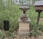 PXL_20260523_042433045