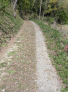 PXL_20260413_050951242
